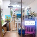 [4분기] 힐링꽃그림(보태니컬 수채화) | 일산취미미술 성인취미화실 일산원데이클래스 (고양이가 있는 집사의 화실)