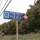 운학동 돌방무덤 이미지