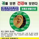 이혈(귀) 심리상담(건강관리) 이미지