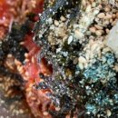 조각가박시동 미술관 이미지