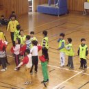 봉황태권도 이미지