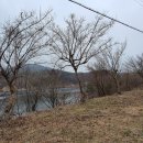 가북면사무소 이미지