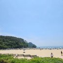 끼끼 | 부산 다대포 끼끼와 함께한 갯벌체험 놀이 솔직 후기 (밥집 카페 한방정리)