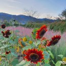 현대꽃동산