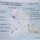 경락농장 이미지