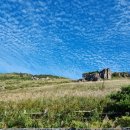 휴양림농장 이미지