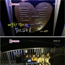 생명에 대한 나의 이미지