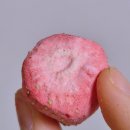 스타벅스 신상푸드 동결건조과일 | 한입에 쏙 설향 딸기칩 | 내돈내산 후기