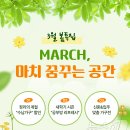 에넥스스토어 이미지