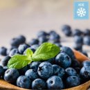 블루베리 이미지