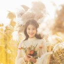 메이네스튜디오