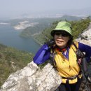 소나무 전경 이미지