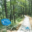 오봉산 맨발 등산로 이미지