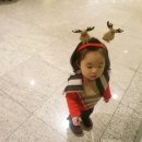 리하이브 이미지