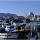 등대김밥 이미지