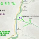 정금마을 차밭 앞 이미지