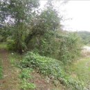 대구지방법원 영덕지원 이미지