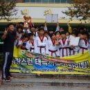 연세태권도장 이미지