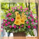 드림상사8 이미지