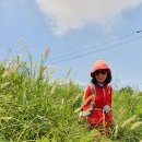 매음1저수지 이미지