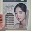 더글루(The Glue) | 데이코드 노글루속눈썹 3초 완성 자연 속눈썹 후기
