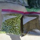 금오도 여천항 관광안내소 이미지