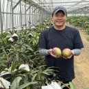 길만농장 이미지