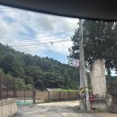 더버드 | [경기 남양주] 커플 전용 스파 펜션 더버드펜션 VIP 룸 후기