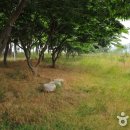 마을관리 휴양지 이미지