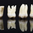 가톨릭대학교 임상치과학대학원 이미지