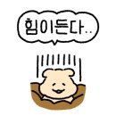 천안워시존 이미지