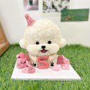 디어마이독 | 평택 강아지케이크 디어마이독 사랑스러운 후기