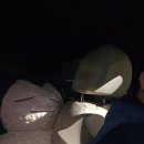 냉천로 | 혼자서 다닌 부산 송정 여행과 가족과 함께한 포항 여행 후기