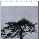 보성녹차골휴게소 이미지