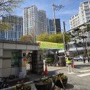 47 | 제47회 CPPG 시험 서울 서초고 후기