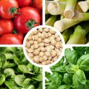 식탁위의텃밭 | 아파트 베란다 플랜트박스 오가닉 가정용 채소 재배 대용량 텃밭 화분 사용 후기