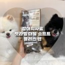 기호성좋은강아지사료 추천 펫라벨 더블 소프트 플러스 텐