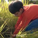 수왕초등학교 이미지