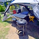 라라랜드 애견 펜션 이미지