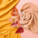 의왕동물병원 이미지