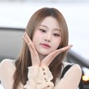 미모고양이 이미지