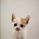 이마트24 울산포그니 이미지