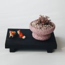 스톤플랜트