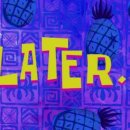 동물병원알루 이미지