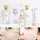 부토니끄 | 기미 홈케어 : 샬랑드파리 알바로사컴플릿 시리즈로 기미개선, 잡티관리 / 기미멜라닌 케어시리즈