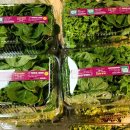 곡강농장 이미지