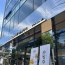 대구여행 수성못 구경하고 엔제리너스 아일랜드 가서 데이트 한 후기