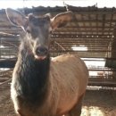 석우농장 이미지