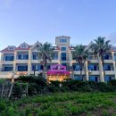 싹 게스트하우스 | 제주 파티 게하 추천 스테이블 서귀포 게스트하우스 3차 동행 후기