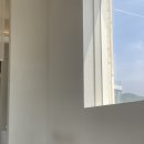 신정호길 이미지